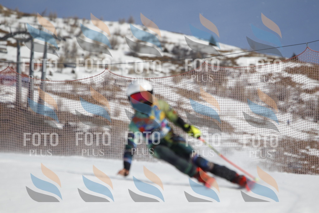 _U3G0030 | holidayphoto