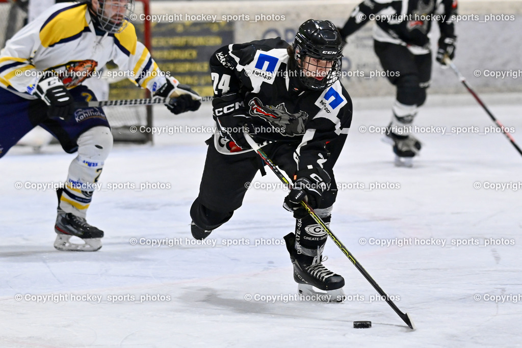 EC Tigers Paternion vs. Tarco Wölfe II | #24 Desenbekowitsch Nico Tarco Wölfe II, EC Tigers Paternion vs. Tarco Wölfe II, EC Tigers Paternion vs. Tarco Wölfe II am 19.12.2024 in Spittal an der Drau (Eissportzentrum Spittal), Austria, (Photo by Bernd Stefan)