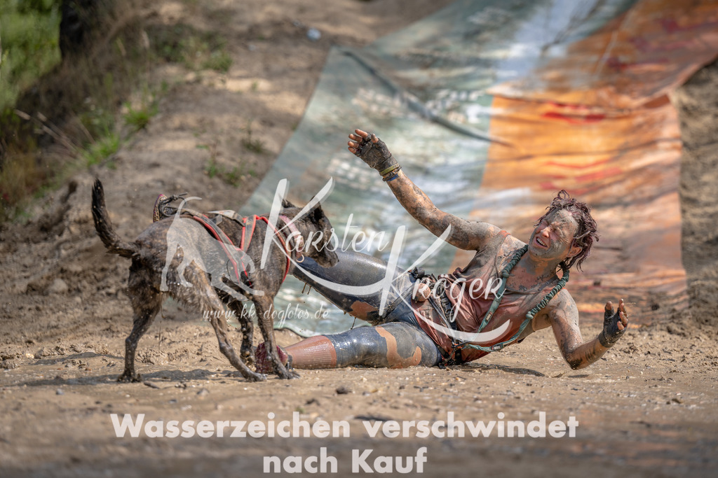 1123_ZZ99524 | kk-dogfotos