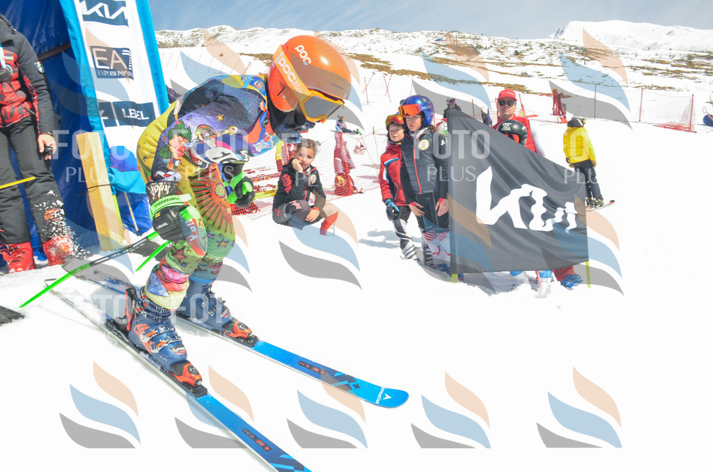 _ELE6428 | holidayphoto