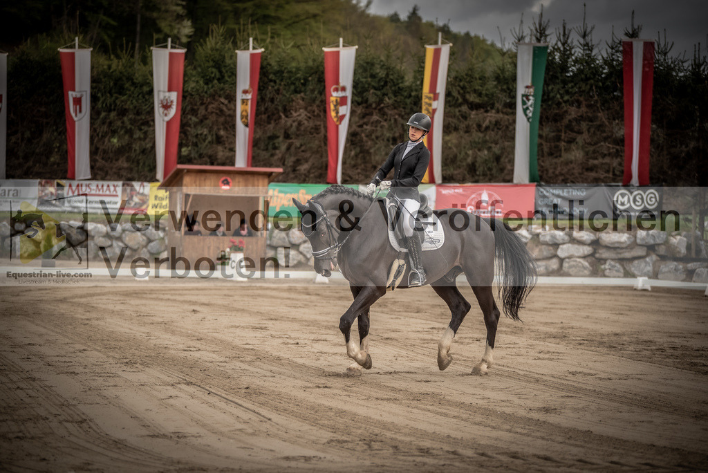 DSC_8197 | equestrian-live-com
