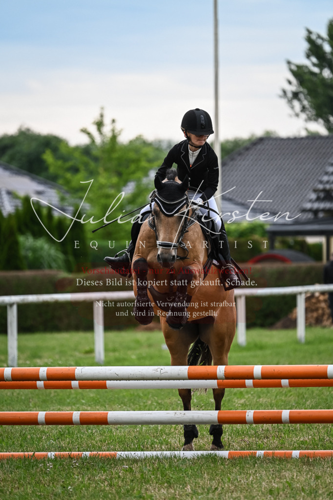 DSC_8578 | Pferde- und Turnierfotografie in Westsachsen. Pferdeportraits, Auftragszeichnungen und intuitive Kunst.