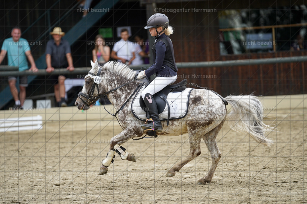 20240630-FAH01247 | Turnierbilder Schwabmünchen, Dressurbilder, Springreitturnier, Reitsportbilder, Turnierfotografen Bayern, Turnierfotograf
