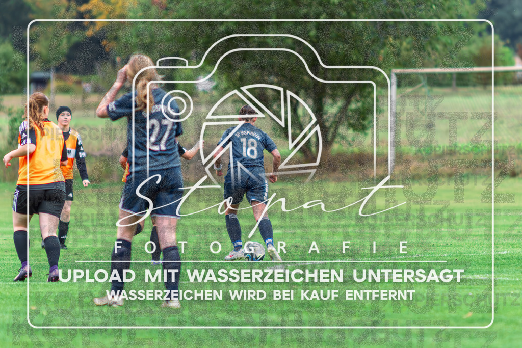 SFBSGF-1004 | Rike Hartig (SF Bispingen #18) beim Damen Kreisliga HK/CE Spiel zwischen Sportfreunde Bispingen und SG Fulde im Sportplatz Steinbeck/Luhe, Bispingen (Simon Paul Stopat) - Realisiert mit Pictrs.com