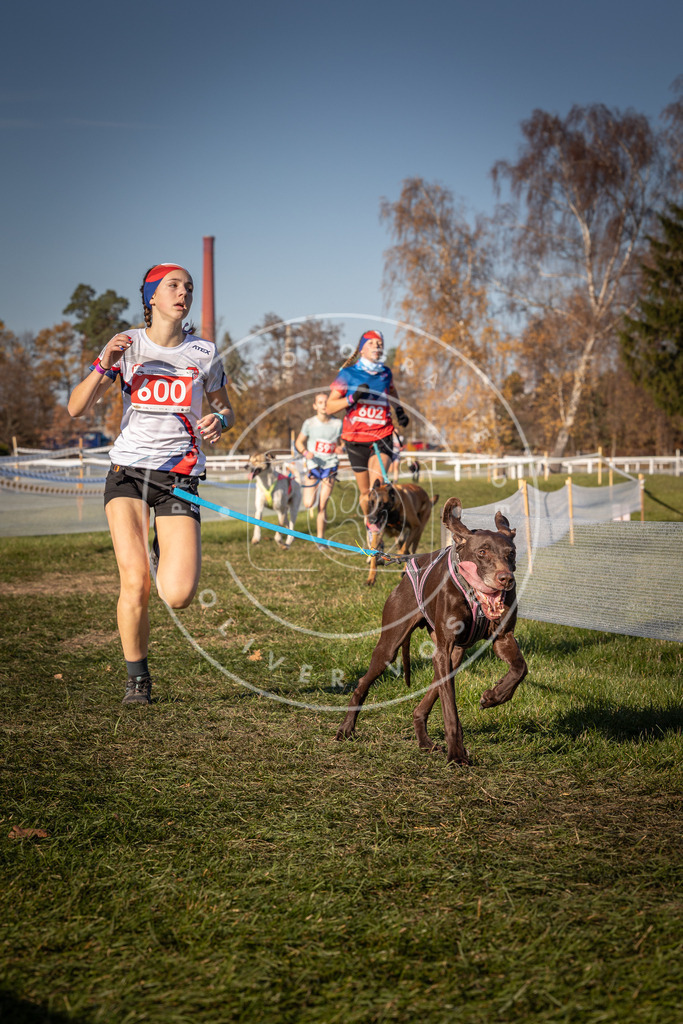 CaniXpix_0L8A8508 | Hundefotografie, Tierfotograf, Pfotenfotografie, Fotoshooting Hund, Hunde Portrait, Hundesport, Hundeportraits, Heideshooting, Hunde, Sportfotograf, Hundefotograf, Turnierhundsport, THS,  - Realisiert mit Pictrs.com