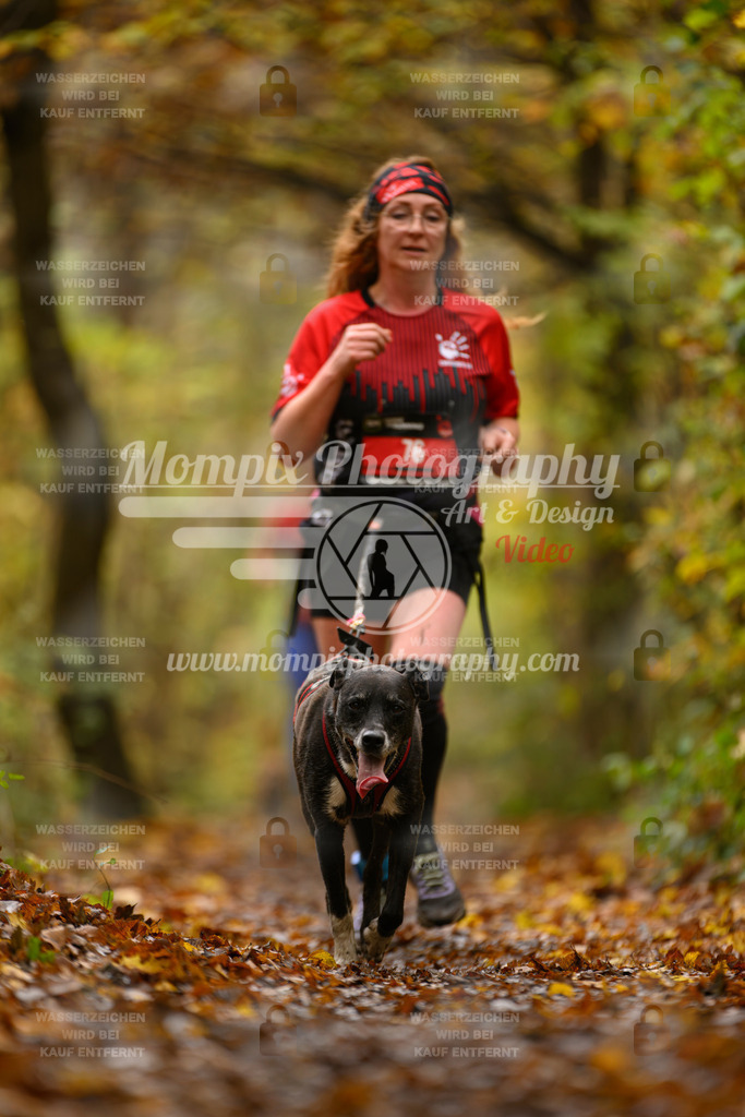 MompixPhotography_CD7S_DI_CCL-80 | mompixphotography