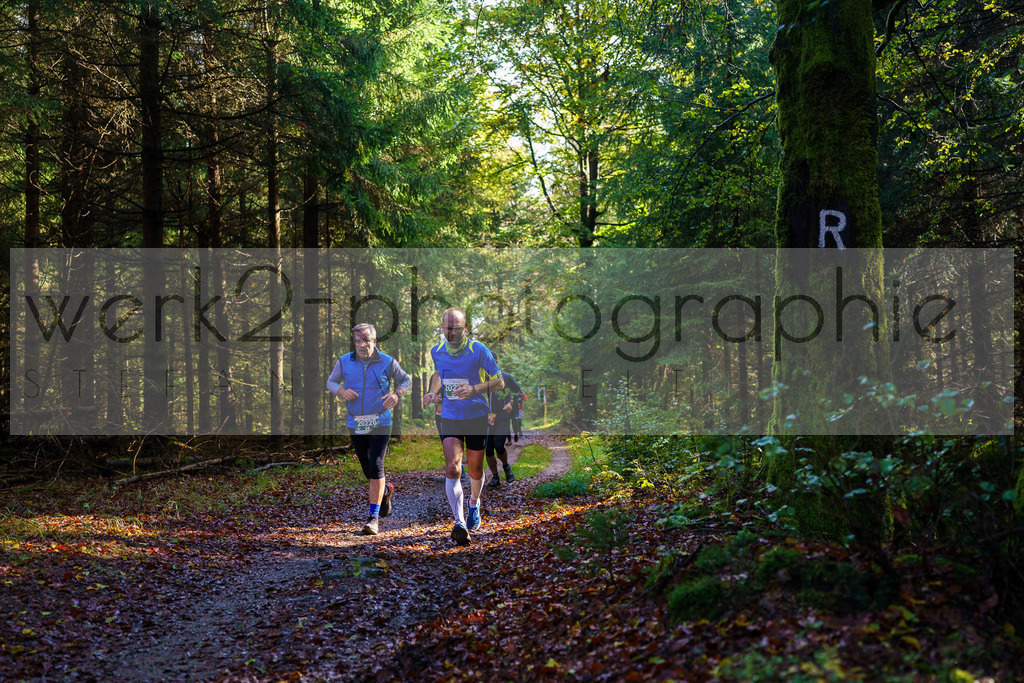 Herbstlauf 2024 | Rennsteig-Herbstlauf von Neuhaus am Rennweg nach Masserberg am 6. Oktober 2024