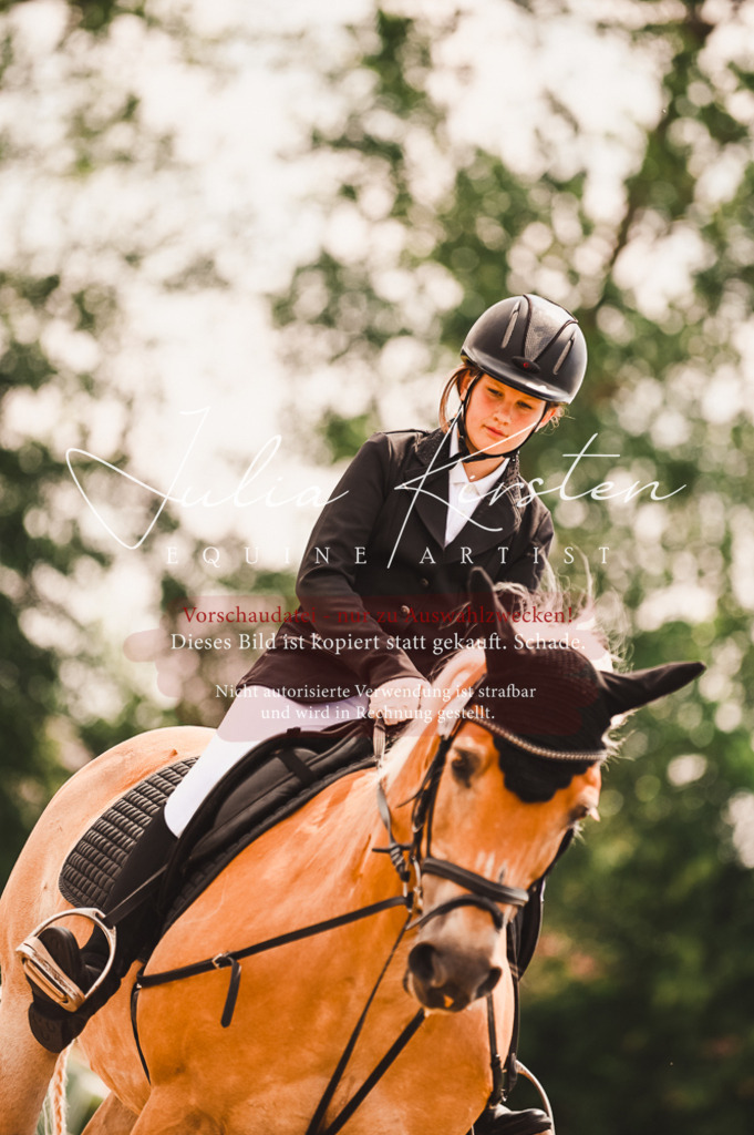 DSC_6297 | Pferde- und Turnierfotografie in Westsachsen. Pferdeportraits, Auftragszeichnungen und intuitive Kunst.