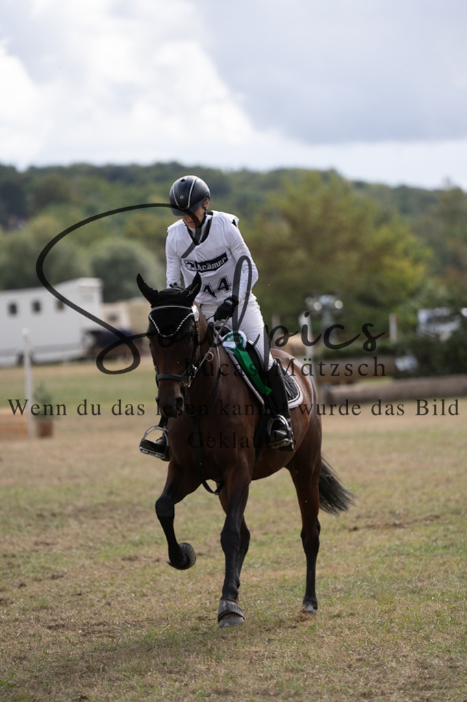 A7V01249 | Pferdefotograf