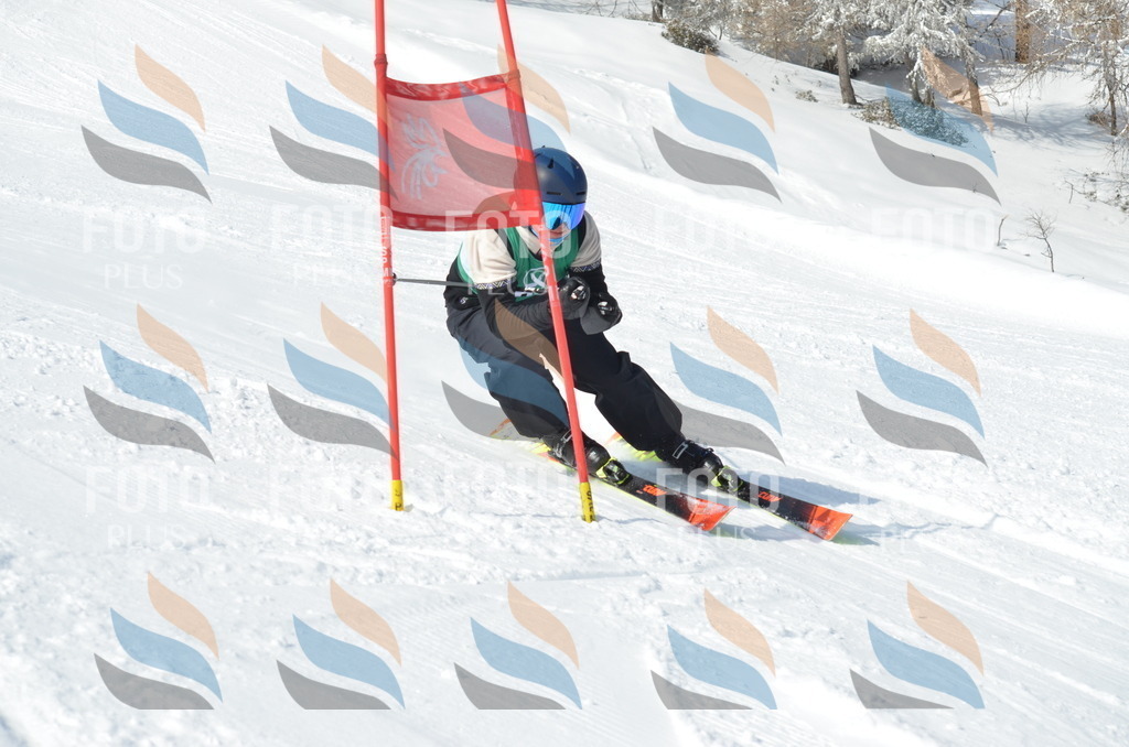 D9169 | holidayphoto