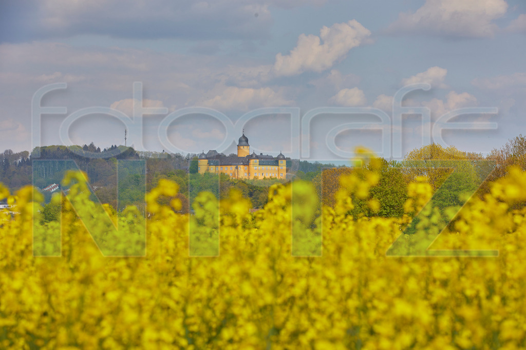2022-04-27 15-50-03_05 5D429766 | Nitz Fotografie aus Montabaur bietet Ihnen hier die Möglichkeit Bilder auszusuchen und zu bestellen. 