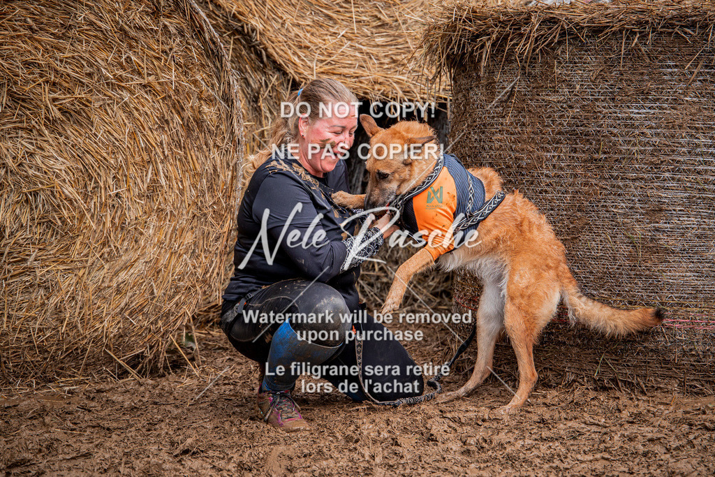 nelerasche_Hunsrück_So09-11_352 | nelerasche
