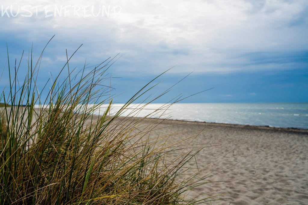 Sanfte Dünen im Morgenlicht – Ostsee Bilder | Das Dünengras steht im Fokus, während Strand und Ostsee in leichter Unschärfe verschwimmen – ein schöner Bokeh-Effekt. Die Halme des Dünengrases zeigen ein harmonisches Zusammenspiel aus Gelb und Grün. Im dahinterliegenden Sand sind noch zarte Spuren zu erkennen, die Ostsee glitzert sanft, und der Himmel mit seinen leichten Wolken lässt dennoch das Blau strahlen.<br><br><strong>Tipp:</strong> Statt das klassische Querformat zu wählen, kannst du dieses Bild mit Dünengras im Fokus auch ganz flexibel zuschneiden – ob als quadratisches Wandbild, Hochkantformat oder Panorama. So passt dein persönliches Ostsee Bild perfekt in jeden Raum und wird zum individuellen Highlight an deiner Wand.