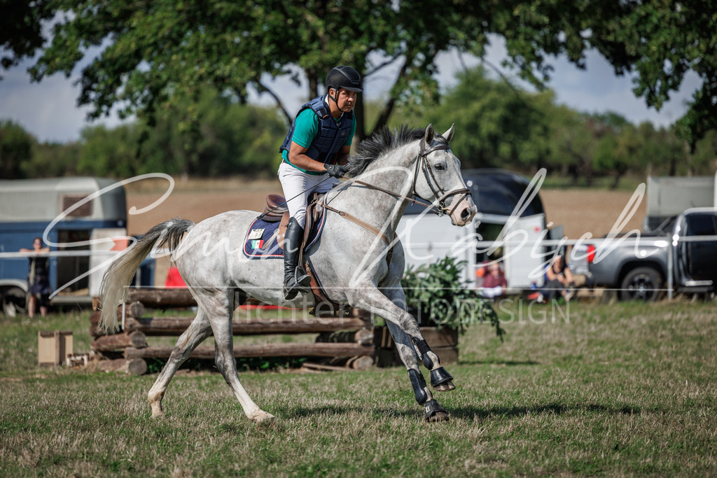 20260905-_3LI9562 | Tierfotografie Pferde, Hunde, Katzen, Haustiere.
Turnierfotografie Reitturniere, Reiten, Springreiten, Dressur in Hanau, dem Main-Kinzig-Kreis und dem Rhein-Main- Gebiet um Frankfurt