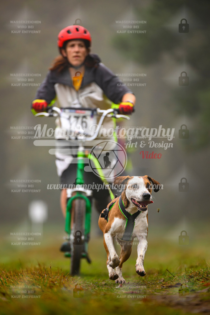 MompixPhotography_Bischwiller2025_Scooter-68 | mompixphotography