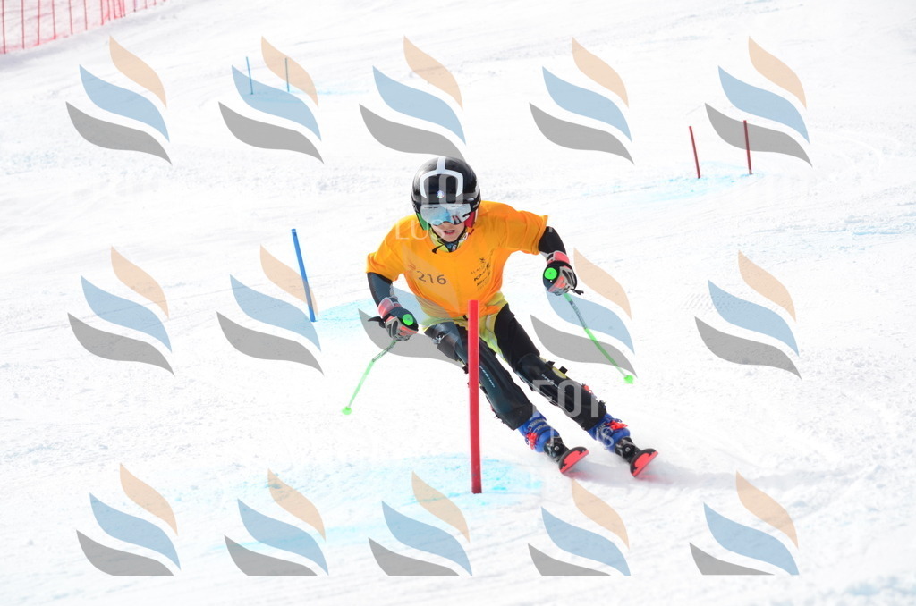 C8211 | holidayphoto