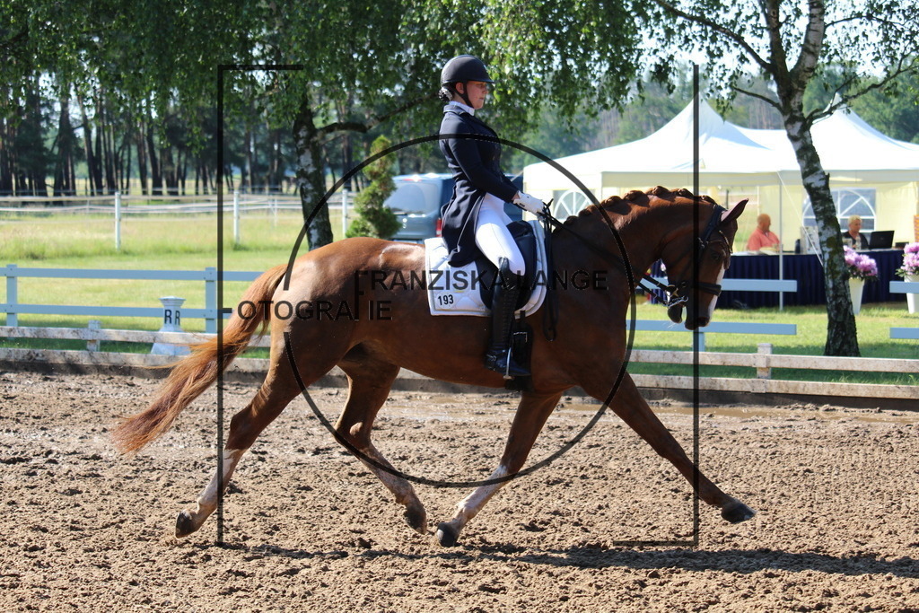 IMG_6400 | franziskalange - Realisiert mit Pictrs.com