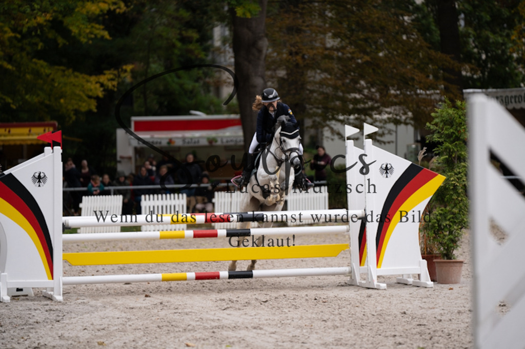 A7V00619 | Pferdefotograf