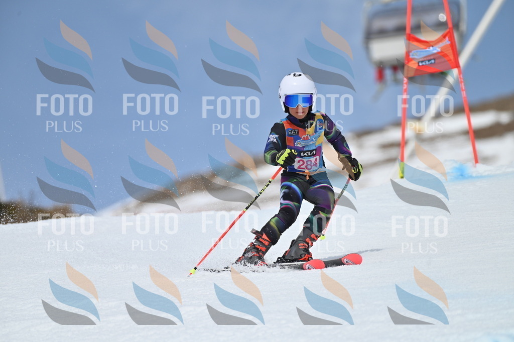 BGV_2485 | holidayphoto