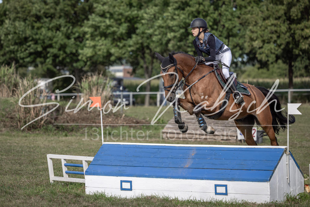 20250907-_3LI9306 | Tierfotografie Pferde, Hunde, Katzen, Haustiere.
Turnierfotografie Reitturniere, Reiten, Springreiten, Dressur in Hanau, dem Main-Kinzig-Kreis und dem Rhein-Main- Gebiet um Frankfurt