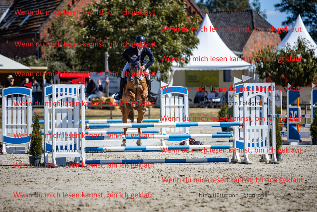 BK1A5561 | Turnierbilder Turnierfotos Nina Hüffmann Turnierfotografie Pferdefotografie Tierzeichnung Haustierzeichnung Pferdezeichnung Hundezeichnung Videograf  - Realisiert mit Pictrs.com