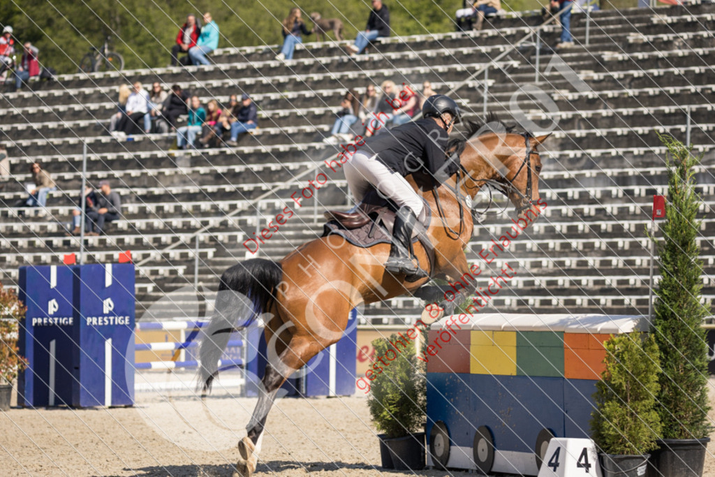 IMG_3909 | Sport-, Event- und Tierfotos in Profiqualität. Einfach auswählen, bestellen und herunterladen. Dein Moment – perfekt festgehalten.