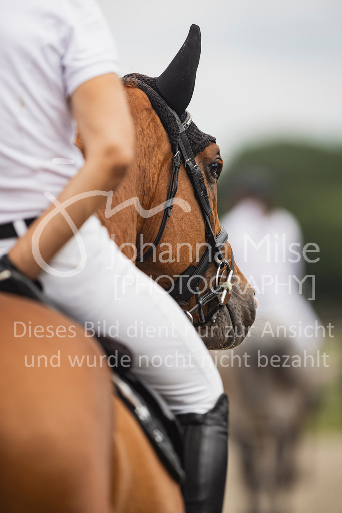250628_PfSpTa_Youngster-S-431 | Deine schönsten Turniermomente als professionelle Fotos! Entdecke hochwertige Pferdesport-Fotografie im Online-Shop. Jetzt Fotos finden & bestellen!