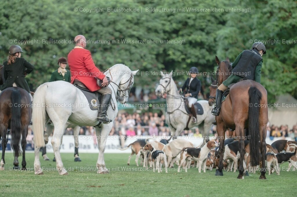 20230526_Pferdenacht_0582 | equistock