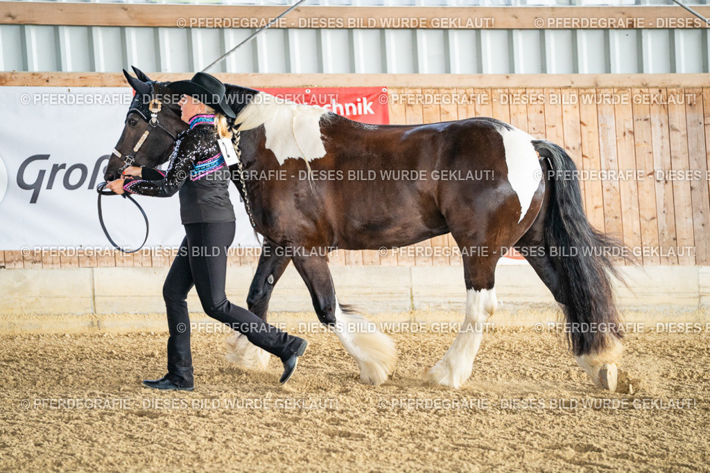 DSC07506 | Pferdegrafie