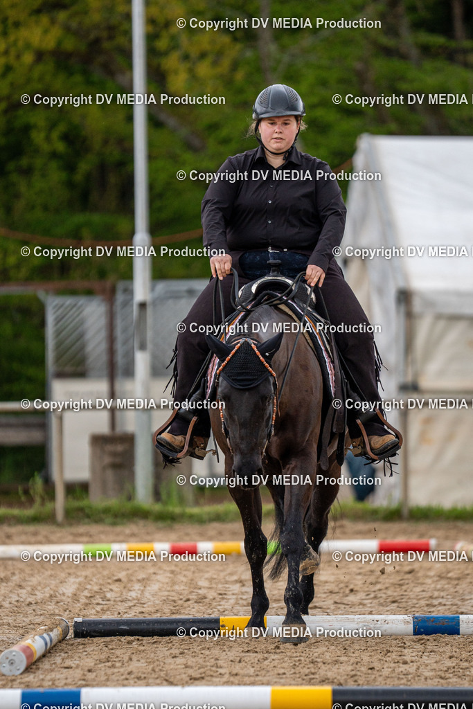 Heiligenwald Tag 1-679 | dv-media-shop - Realisiert mit Pictrs.com