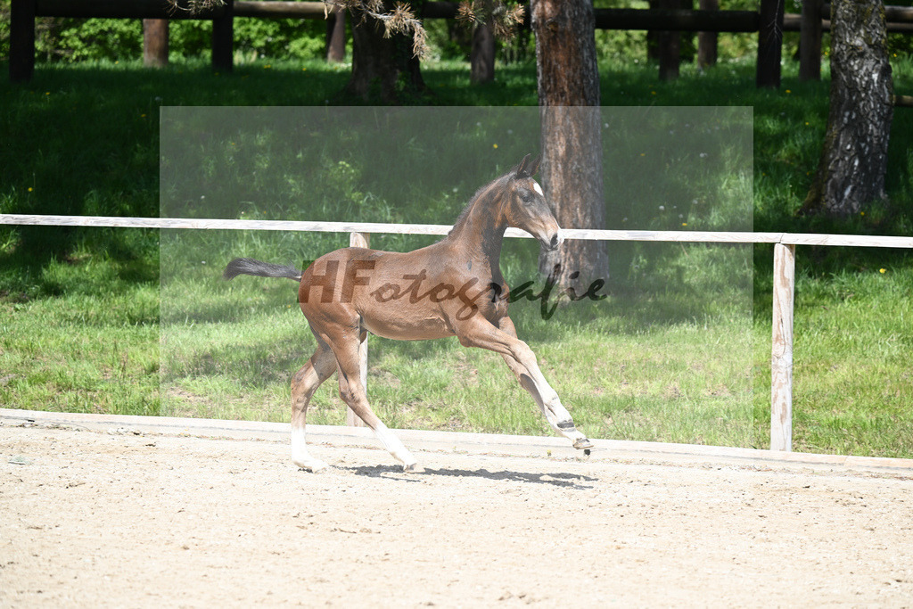 Escaneno x Negro_HF_Eder_11240523 | hf-fotografie - Realisiert mit Pictrs.com