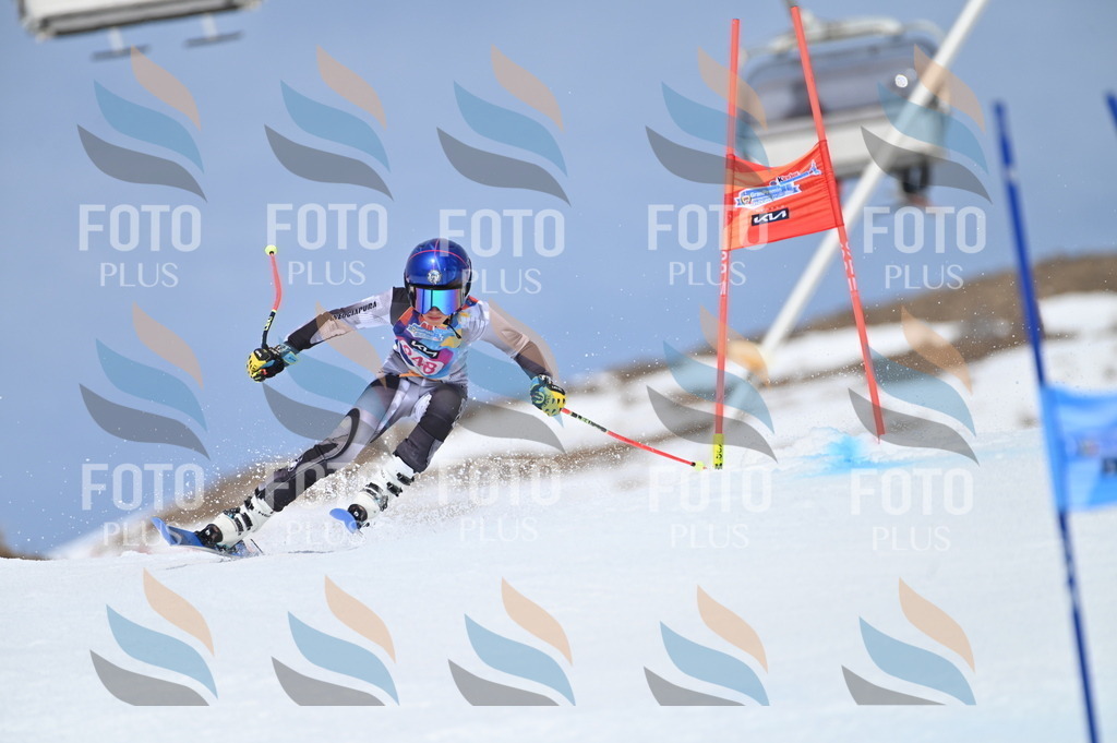 BGV_1830 | holidayphoto