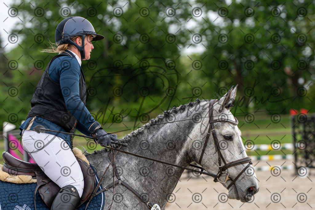 KPT_7801 | andre_photographic