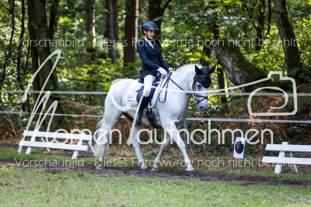 HB-Dressur-WB-120 | MomenTaufnahmen Pferdesportfotos