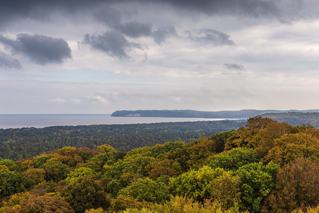 Herbstliche Wälder auf der Insel Rügen | Herbstliche Wälder auf der Insel Rügen.