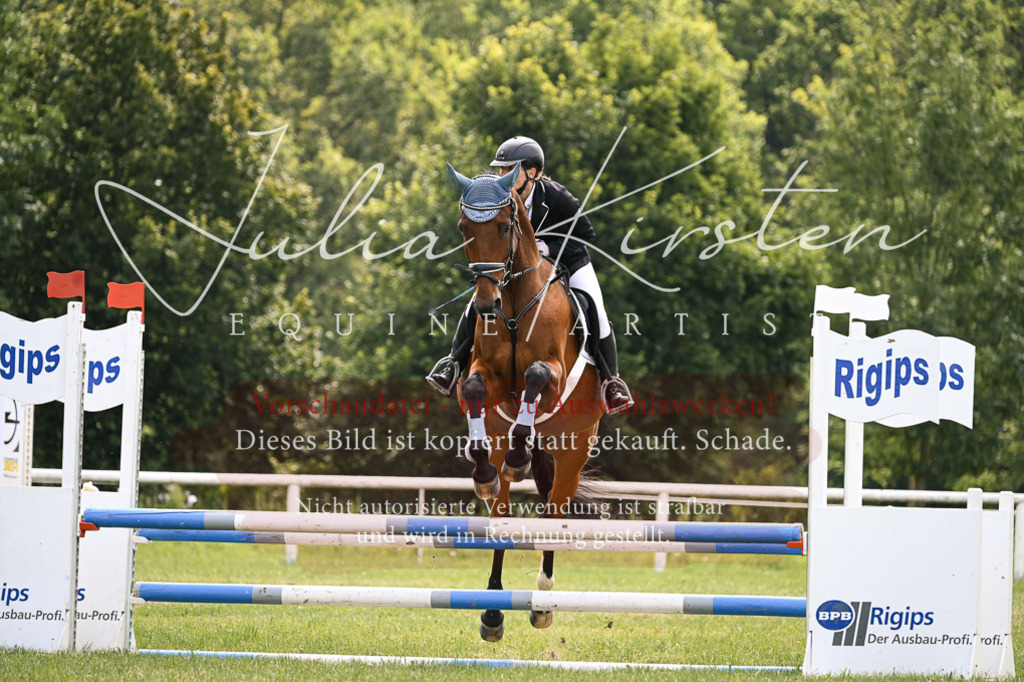 DSC_9159 | Pferde- und Turnierfotografie in Westsachsen. Pferdeportraits, Auftragszeichnungen und intuitive Kunst.