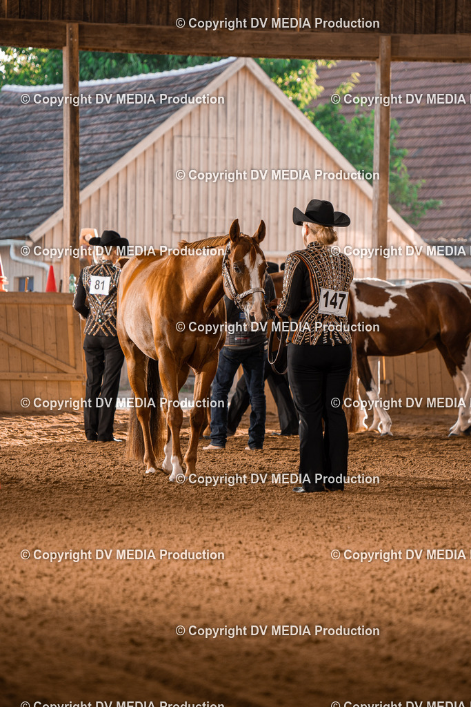 NE100009 | dv-media-shop - Realisiert mit Pictrs.com