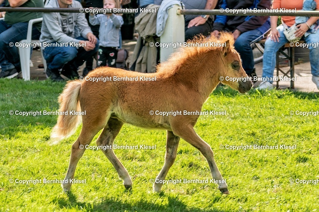 A9S02903 | foto-team-bernhard - Realisiert mit Pictrs.com