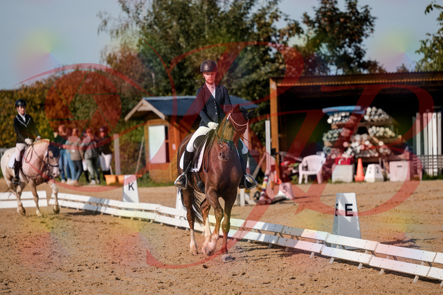 2026_10_03_Siefer-Hof_114747_Z63_27074963 | Professionelle Reitsport-, Turnier- und Eventfotografie von Robert Broda. Galerien mit ausgewählten und bearbeiteten Bildern direkt online ansehen und bestellen.