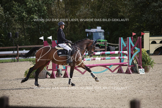 1J2A7885Sophie Kessel_ Unglaubliche_ Kn947_ Havekost | Foto- und Videografie für alles rund ums Pferd. Hochwertige Bilder und Videos vom Spring- und Dressurreiten, Voltigieren & mehr. Jetzt aktuelle Veranstaltungen und Preise im Shop ansehen. - Realisiert mit Pictrs.com