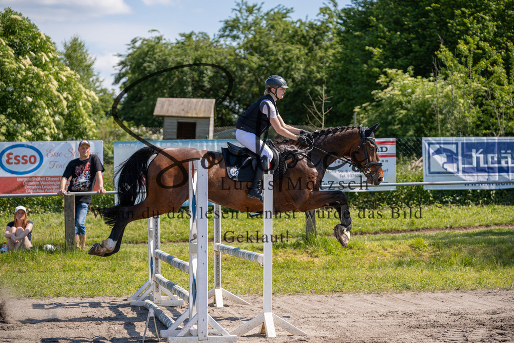 A7V03392 | Pferdefotograf