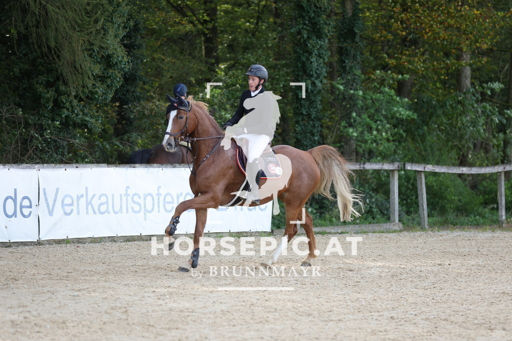 0P6A5629 | Willkommen bei Brunnmayr - Design & Fotografie – Ihrem Spezialisten für Reitturniere und Pferdeveranstaltungen in Oberösterreich, Salzburg und Bayern! Seit über 17 Jahren sind wir leidenschaftlich dabei.