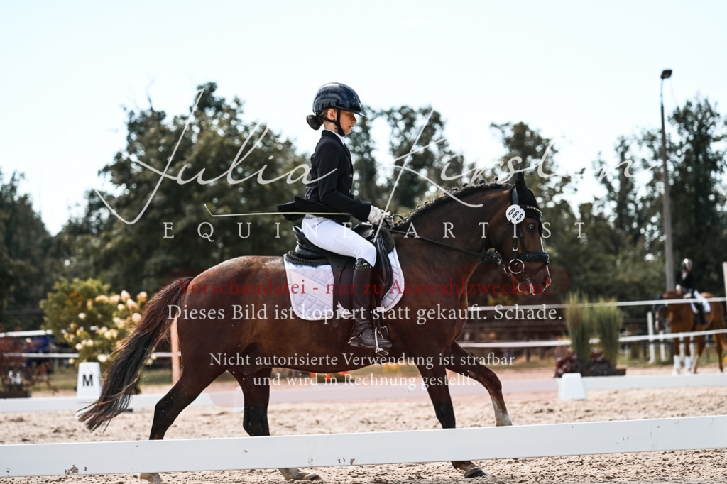 DSC_5729 | Pferde- und Turnierfotografie in Westsachsen. Pferdeportraits, Auftragszeichnungen und intuitive Kunst.