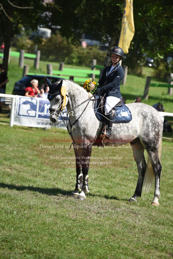 DSC_9641 | Pferde- und Turnierfotografie in Westsachsen. Pferdeportraits, Auftragszeichnungen und intuitive Kunst.