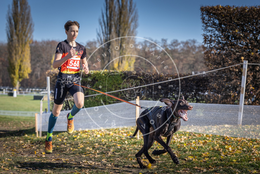 CaniXpix_DV3A8828 | Hundefotografie, Tierfotograf, Pfotenfotografie, Fotoshooting Hund, Hunde Portrait, Hundesport, Hundeportraits, Heideshooting, Hunde, Sportfotograf, Hundefotograf, Turnierhundsport, THS,  - Realisiert mit Pictrs.com