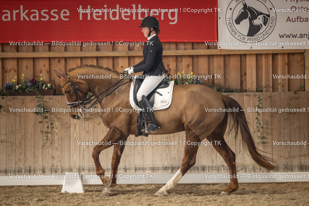 _D5A9421 | Emotionale Pferde- & People-Fotografie rund um Heidelberg, Leimen & Umgebung. Natürliche Fotos von Pferd, Mensch & Familie. Jetzt Termin sichern!