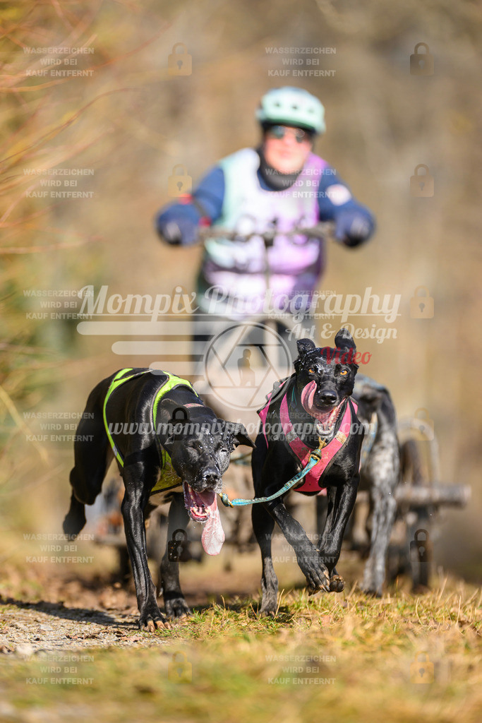 MompixPhotography_Schwabentrail2025_SO_Kart-24 | PayLife