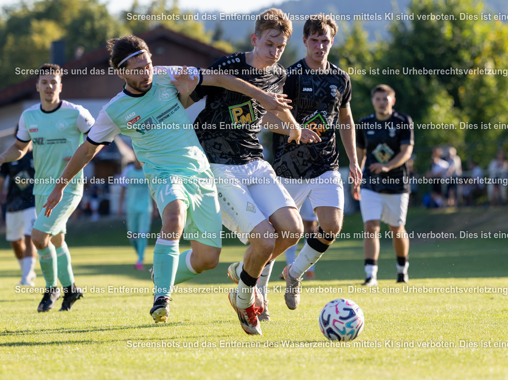 7K3A2889 | 2. Klasse Traisental (1. Runde) - Sportanlage Wilhelmsburg