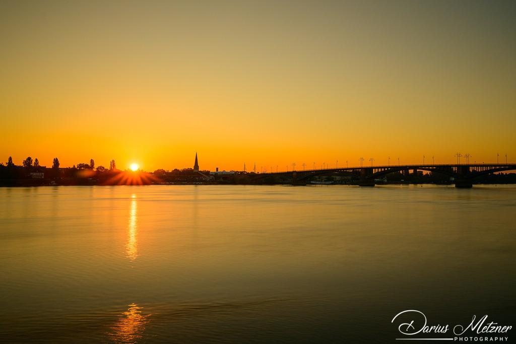 _DSC7955 | Fotografien, Fotos und Bilder aus Mainz, Frankfurt, Wiesbaden und anderen Orten auf der Welt - Fotografiert von Darius Metzner