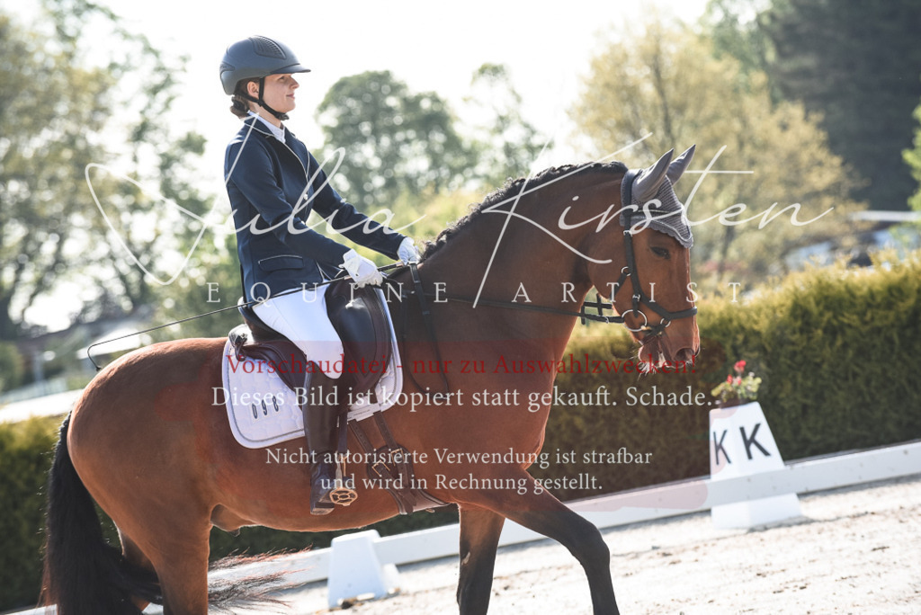 20230518_JK-Röhrsdorf-09-0819 | Pferde- und Turnierfotografie in Westsachsen. Pferdeportraits, Auftragszeichnungen und intuitive Kunst.